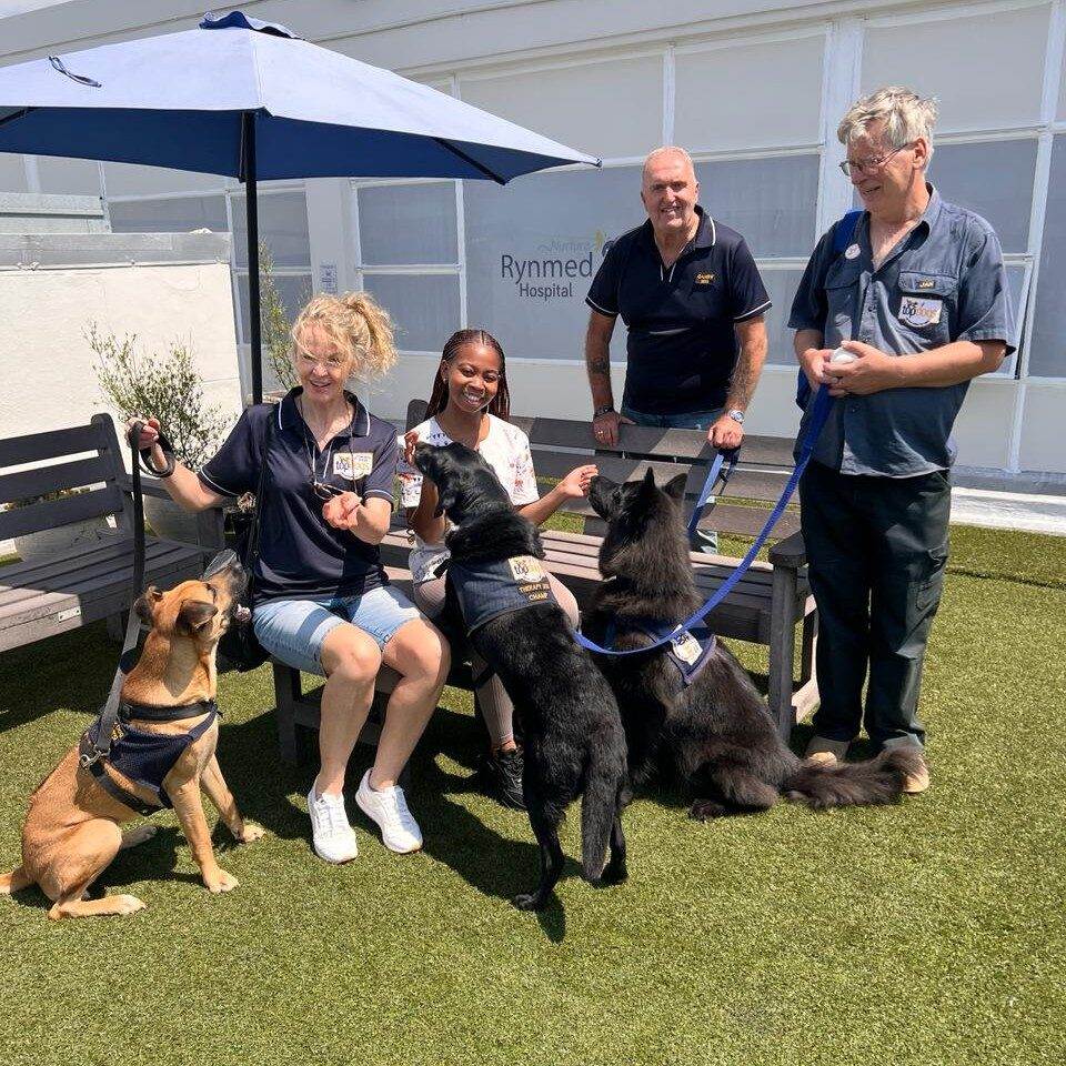 garry 2nd from right with a therapy dog visiting a rehab centre with other dogs v2