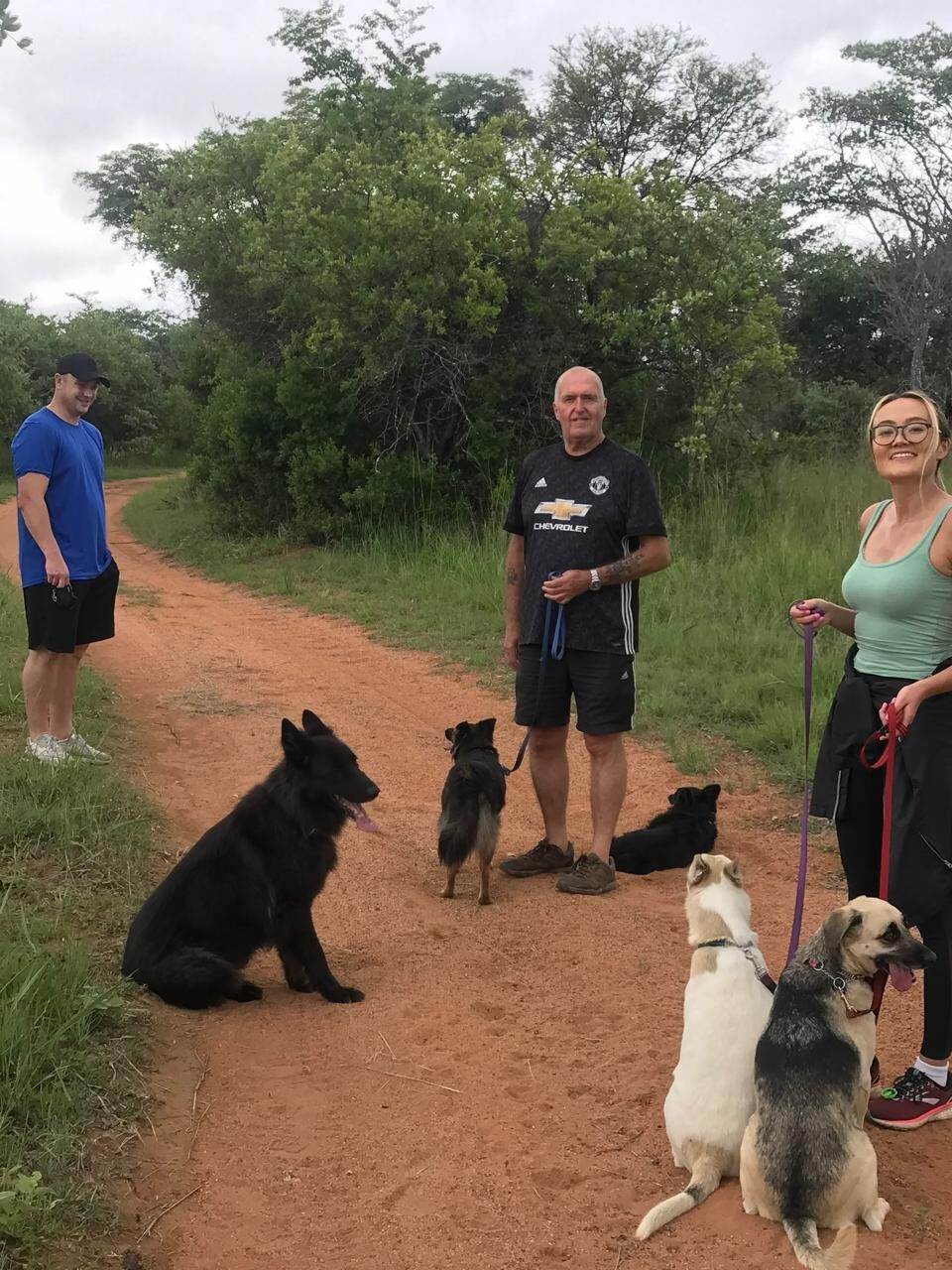 5 dogs learning to focus on the handler garry taking some of his clients and their dogs for a walk.