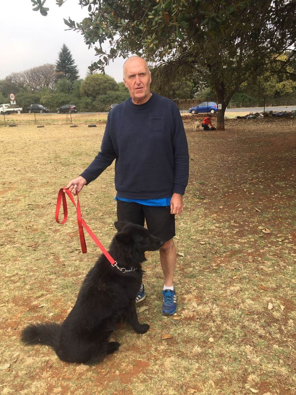 5 dogs learning to focus on the handler garry with one of his rescue dogs that went on to be an ambassador for therapy dogs sa