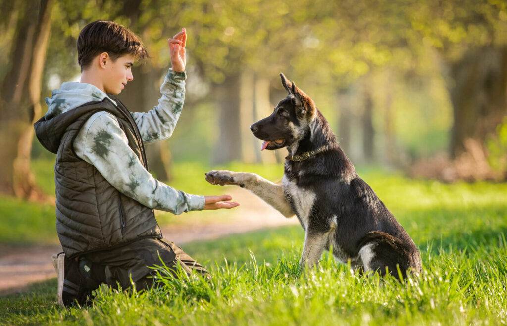 a young boy training his dog