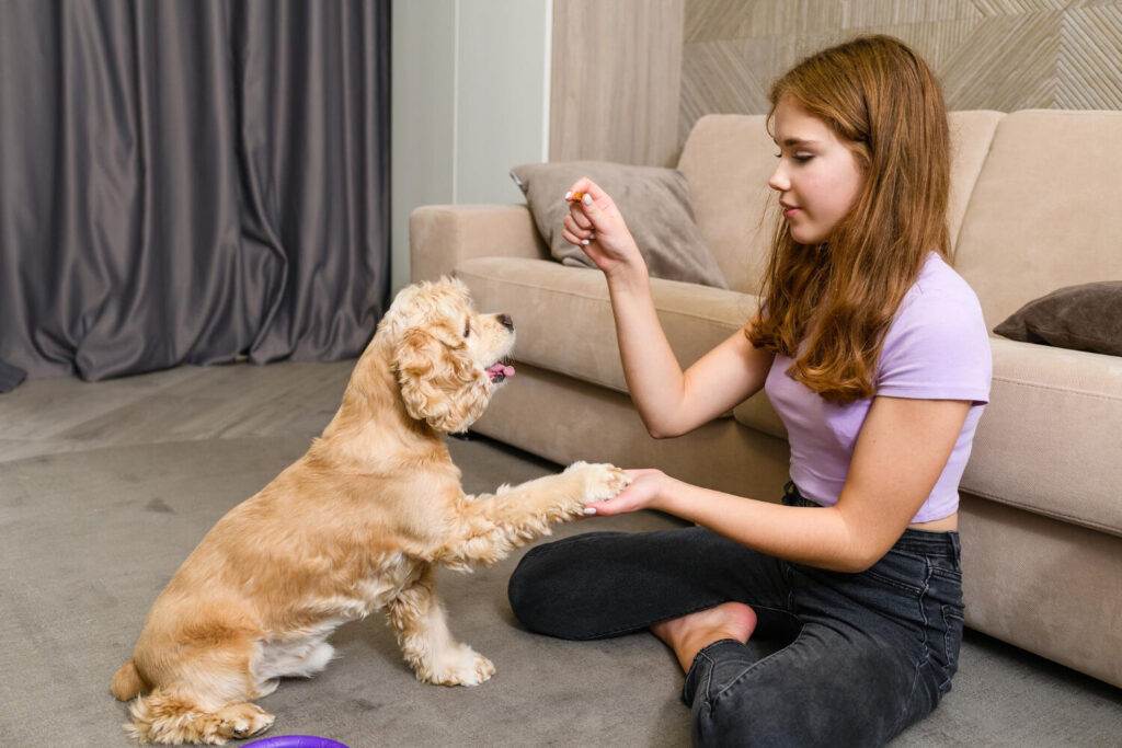 teenage girl training her dog at home